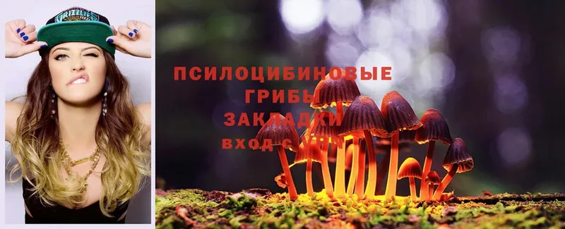 Галлюциногенные грибы MAGIC MUSHROOMS  закладки  Заволжье 